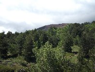 rrente Quarantore-20100606 058